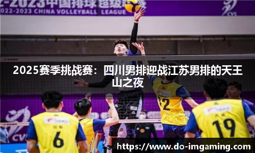 IM电竞官方网站